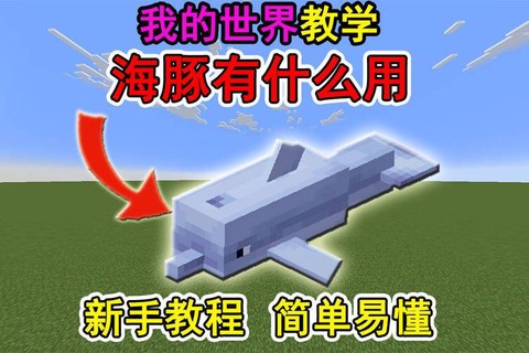 我的世界海豚有什么用