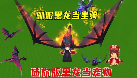 迷你世界如何训服龙
