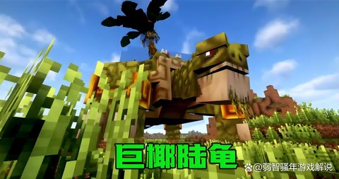 我的世界怎么养海龟