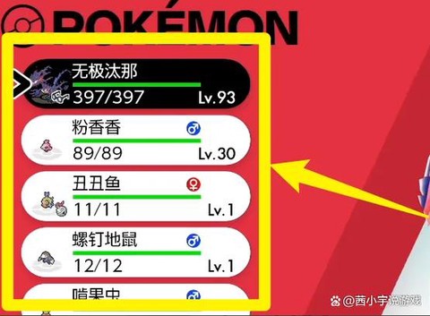 口袋妖怪怎么看个体[图2]