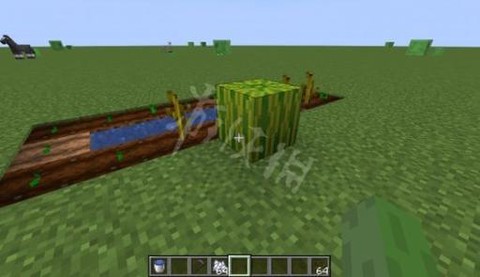 我的世界西瓜怎么收获