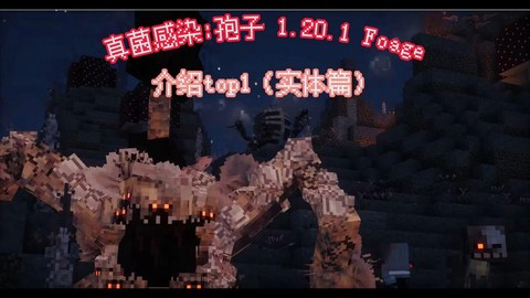 我的世界菌丝有什么用