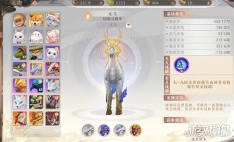 天龙八部逍遥带什么宝宝