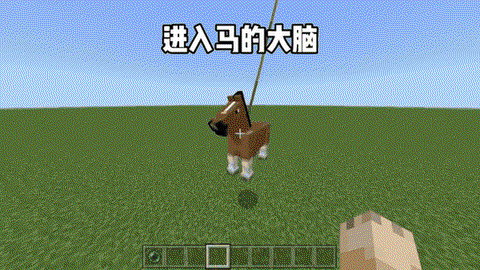 我的世界黑马怎么驯服[图2]