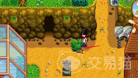 星露谷物语干草怎么获得[图1]