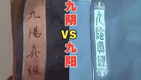 九阴真经什么是99武学[图2]