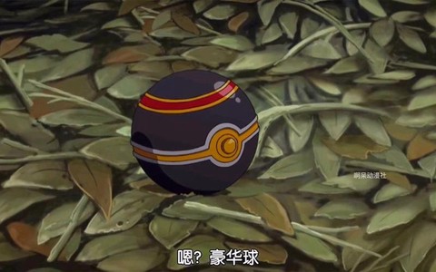 神奇宝贝第六部叫什么